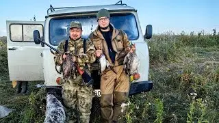 Выбрались на вечёрку и утрянку в тихое место. Душевно по-охотились и отдохнули.
