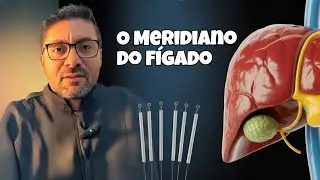 Anatomia dos meridianos de acupuntura & Sinais e Sintomas - Episódio 13 - Fígado