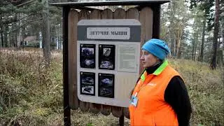 Пещера Караульная