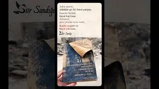 Gel Seninle bir daha ağlayalım, Kuşlar uçuyor ve Hayat Çok Kısa.