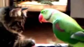 Шок! Слабонервным не смотреть!!!