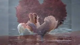 Tamil romantic whatsapp status Full HD 1080p video download