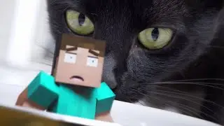 Приключения и домашние питомцы || Minecraft || 20
