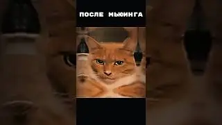 Мьюинг #meme #mewing #shorts #врек #врекомендации