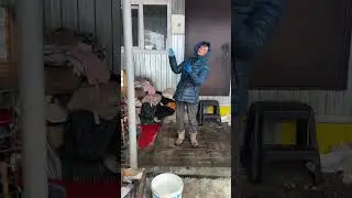 Мелкаши на прогулке 🐾