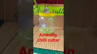 Amazing chilli cutter #scienceexpo