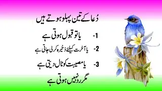 Hazrat Ali ke qol / Hazrat Ali ke aqwal e zareen / Hazrat Ali Ka Farman / Best quotes collection
