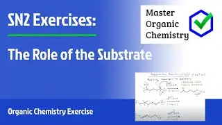 SN2 Exercises: The Role of the Substrate