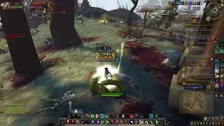 Feral Druid pvp BFA, The Horde Slayer