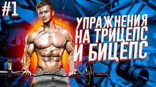Бицепс и Трицепс! Эффективные упражнения от Романа Курцын и Алексея Карпова для прокачки рук...