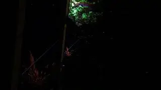 🎆Happy Diwali 💥💫