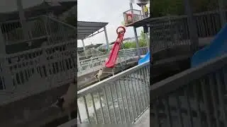 funnyvideo