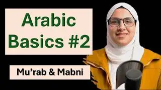 Arabic grammar from scratch\lesson 2