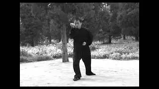 Xing Yi - 64 movements