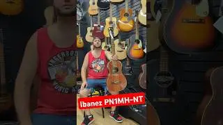 Ibanez PN1MH-NT Parlor Guitar #groovey #ibanez #ibanezacoustic #musicstore #guitarshop #love #fun