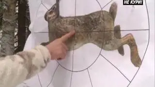 Wild boar hunting from a tower, Hunting with night sight