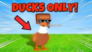 So I did the *DUCK EGG* only challenge in ROBLOX BEDWARS!