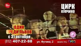 Цирк 