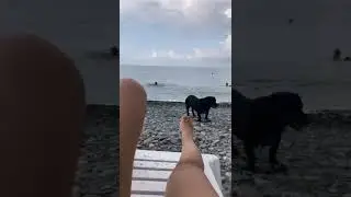 Сочи. Первый день лета.