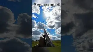 Открытие охоты на вяхиря 🕊️ Полный выпуск скоро на канале 💥 #hunting #охота #охотничьеоружие