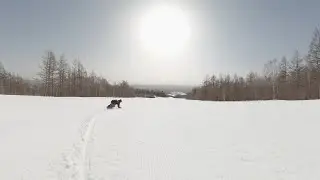Gentemstick Maxforce | Spring Snow