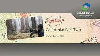 David Noton Photography: Video Blog, Issue 35 - California
