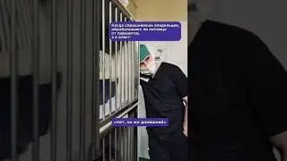 Порадовали блоху