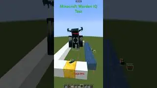 Minecraft Warden IQ Test 🤣 