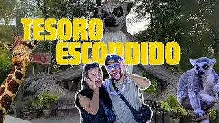 Conocían este Lugar?| Zoológico Interactivo😱| Houston,Tx 🇺🇸