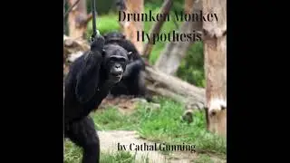 Drunken Monkey Hypothesis