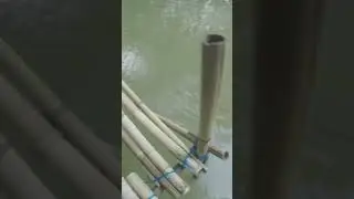 ANGKAT BARRAMUNDI HAMPIR JATUH