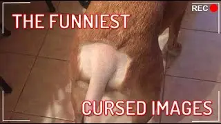 The Worst Cursed Images