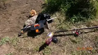 fishing on desnogorsk reservoir - white amur, how to catch it...