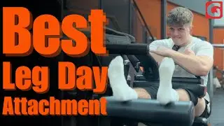 Full Leg Day (New Accessory)