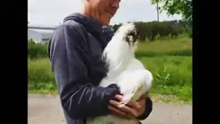 Affection