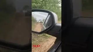 Дорога в Крым. Май 2022 (3ч)