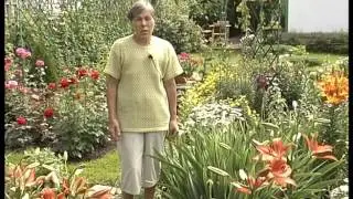 Сад непрерывного цветения