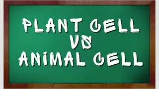 Plant cell Vs Animal cell