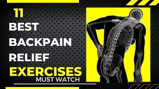 11 Best Back Pain Relief Exercises For Cricketers | Back Pain Exercises |