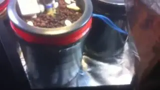Hydroponic deep water culture marihuana
