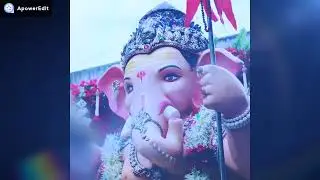 Flower Dropping At Ganpati Visarjan Sohala