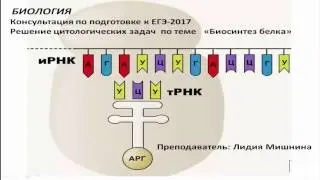 Биология. Подготовка к ЕГЭ-2017. Онлайн консультация ч. 1