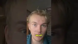 Inside the Mind of a YouTube CEO  My Take on Mr  Beast