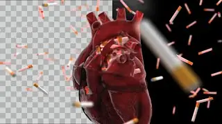 Burning Smoking Heart Animation    Cigarette Heart Animation