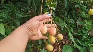vlog video 🙏