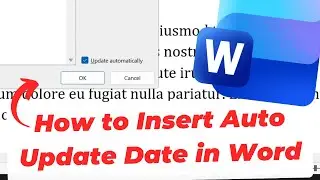How to Insert Auto Update Date in Word