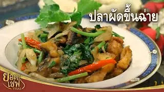 Stir-fried Fish with Celery I Yord Chef Thai (Yord Chef Thai) 08-08-15 Ep.3