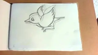 Bird Test