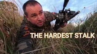 The Hardest Stalk