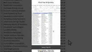 Excel Time Savers : Find Top 10 From Filters